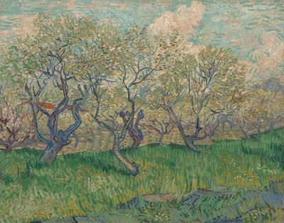 Orchard in Blossom by Vincent van Gogh